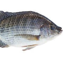 তেলাপিয়া মাছ বড়
